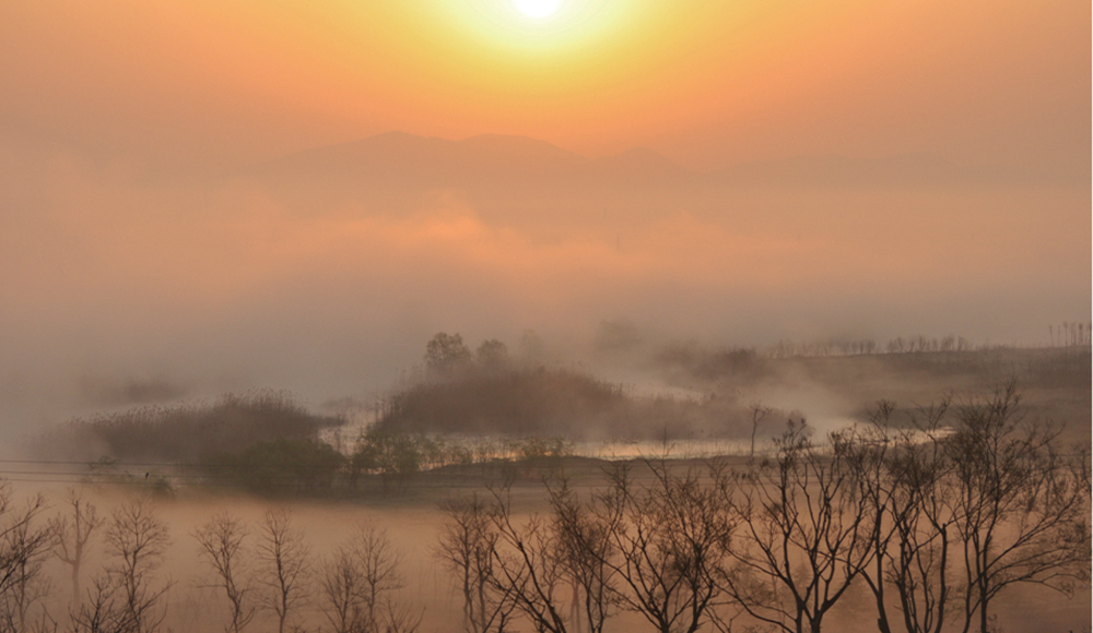 家鄉(xiāng)的早晨