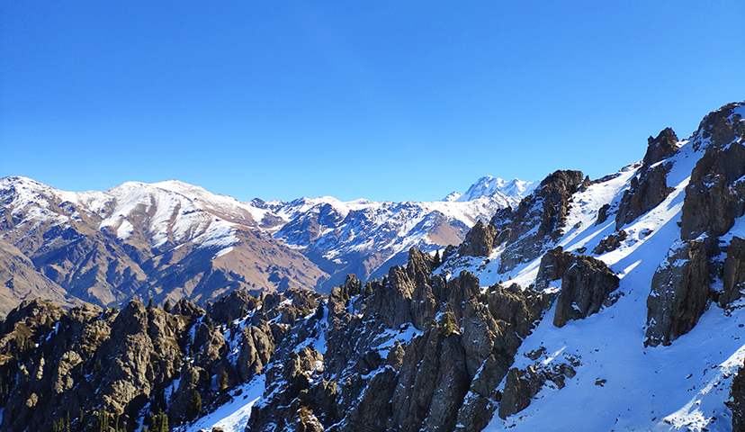 青山原不老，為雪白頭。